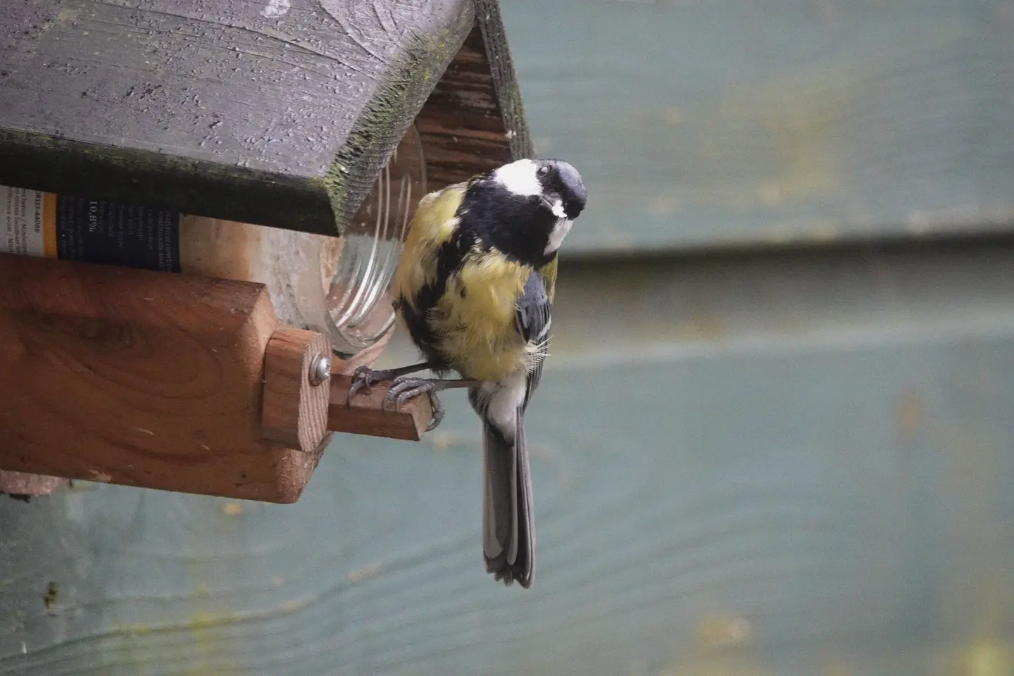 A wooden bird feeder suspended outdoors