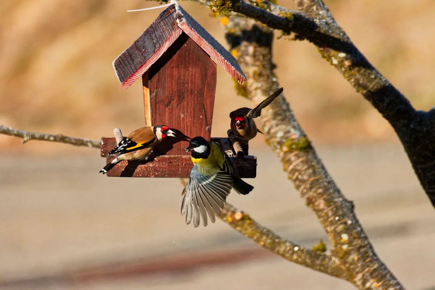 A handmade bird table in a garden