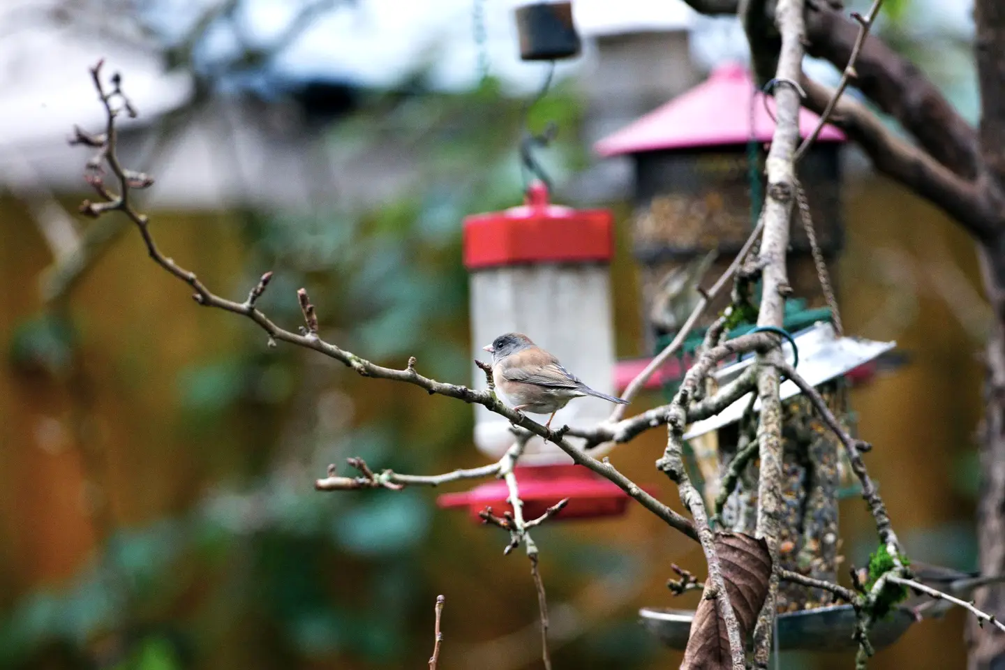 A handmade feeder from The Nestingham Feeder Co